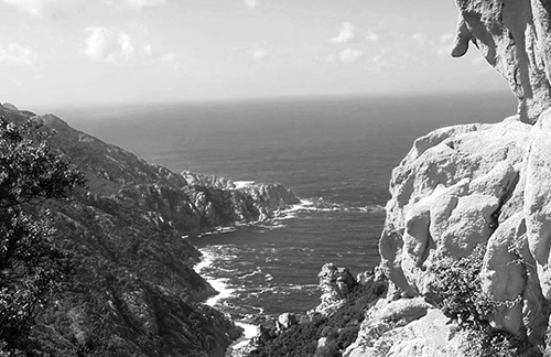 elevation-serie Elevation 2014